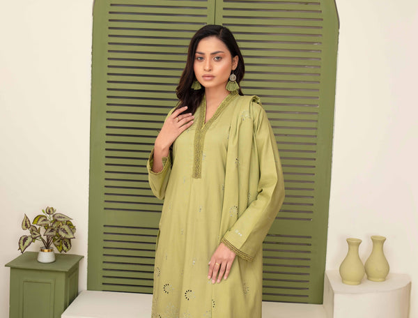 Binish Vol-A-04 – Elegant Doria Dyed Embroidered Suit –d2