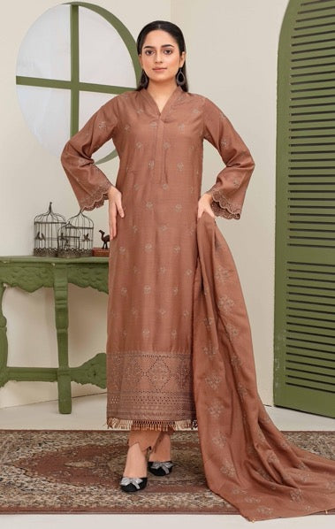 Binish Vol-A-02 – Elegant Doria Dyed Embroidered Suit –d6