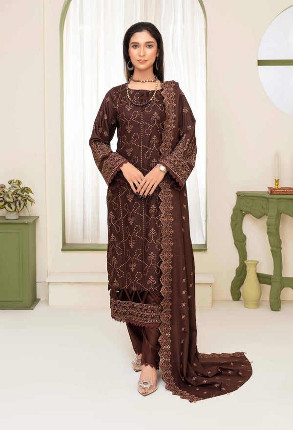 Binish Vol-A-01 – Elegant Doria Dyed Embroidered Suit –d3