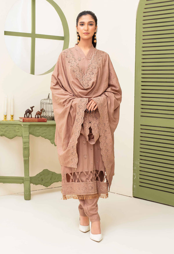 Binish Vol-A-01 – Elegant Doria Dyed Embroidered Suit –d7