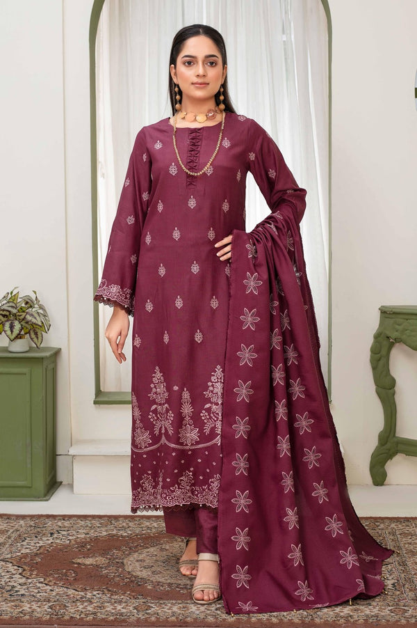 Binish Vol-A-02 – Elegant Doria Dyed Embroidered Suit –d5