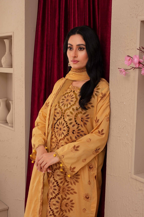 | Dyed Embroidered Lawn Collection 3 piece t 06