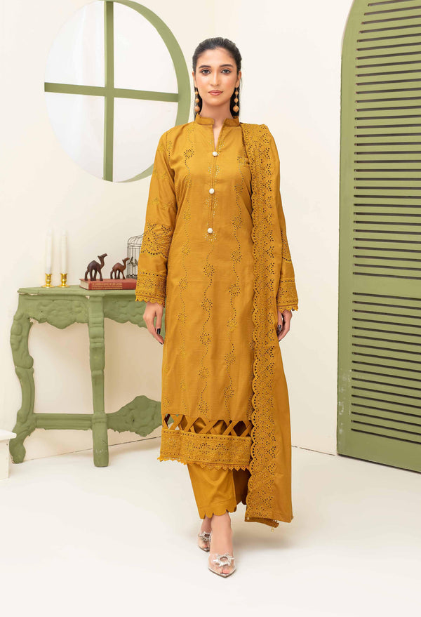 Binish Vol-A-01 – Elegant Doria Dyed Embroidered Suit –d8