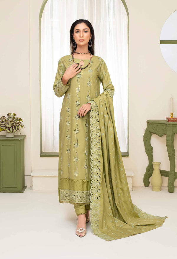 Binish Vol-A-01 – Elegant Doria Dyed Embroidered Suit –d2
