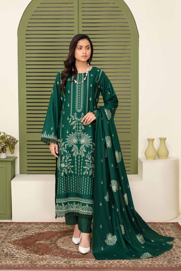 Binish Vol-A-03 – Elegant Doria Dyed Embroidered Suit –d3