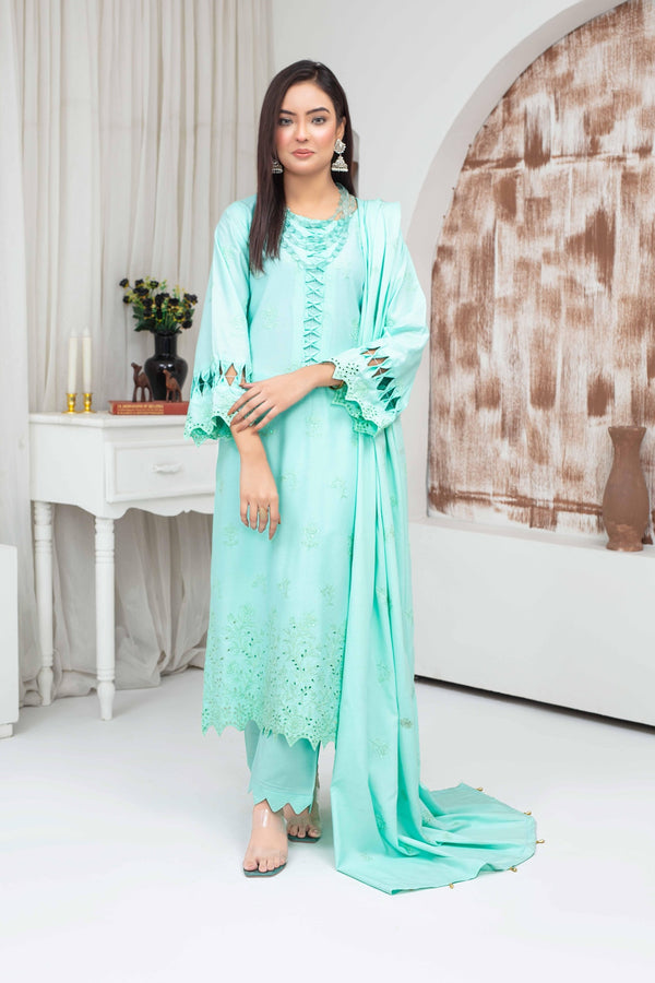 Binish Vol-A-04 – Elegant Doria Dyed Embroidered Suit –d4