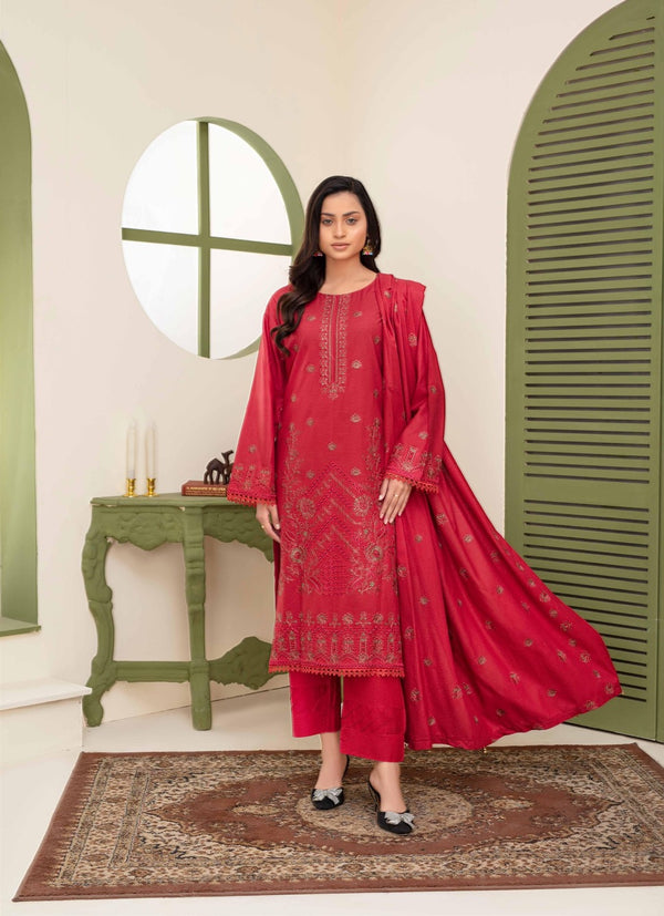 Binish Vol-A-03 – Elegant Doria Dyed Embroidered Suit –d4