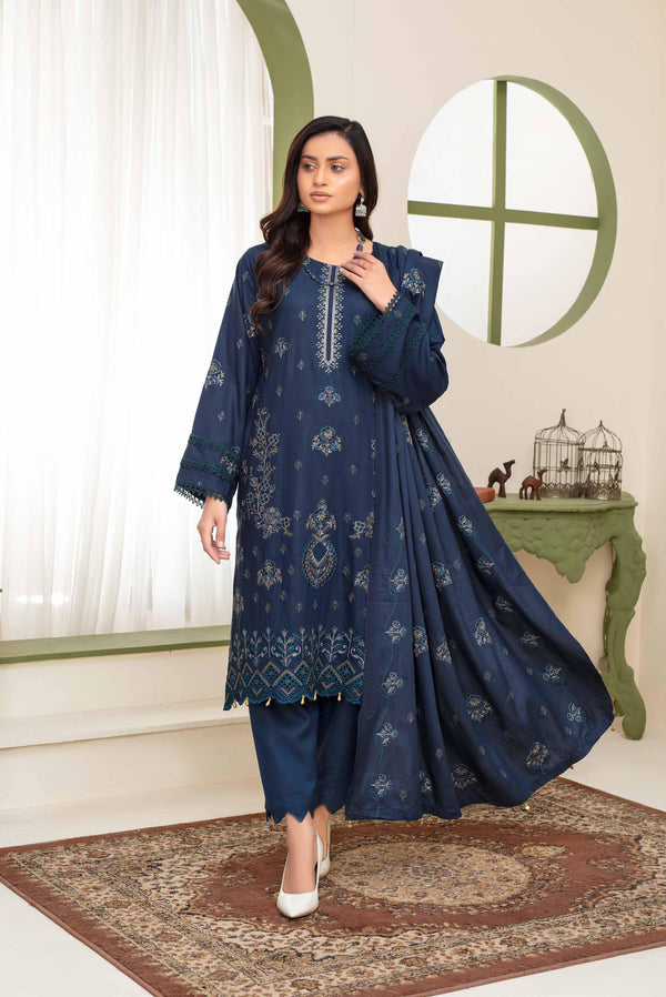 Binish Vol-A-03 – Elegant Doria Dyed Embroidered Suit –d5