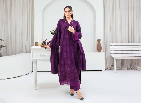 Binish Vol-A-04 – Elegant Doria Dyed Embroidered Suit –d6