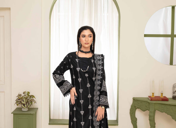 Binish Vol-A-01 – Elegant Doria Dyed Embroidered Suit –d1