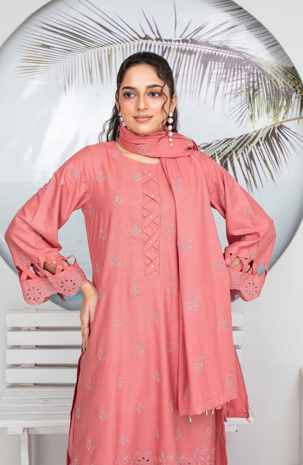 Binish Vol-A-04 – Elegant Doria Dyed Embroidered Suit –d3