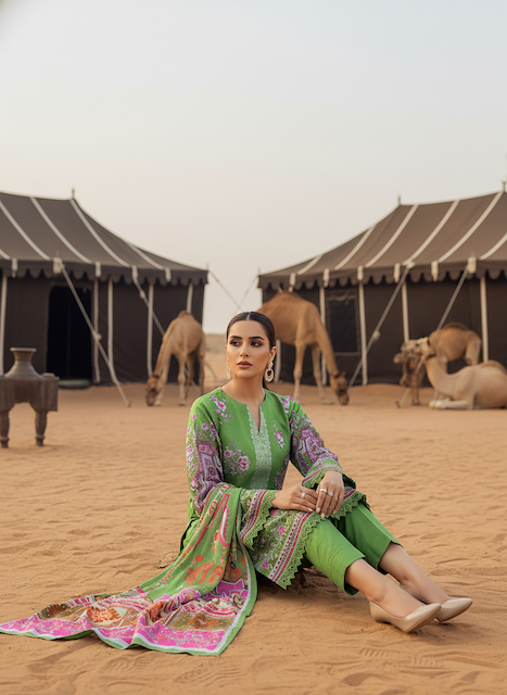 FIZA NOOR – NAQSH VOL. 01– d4